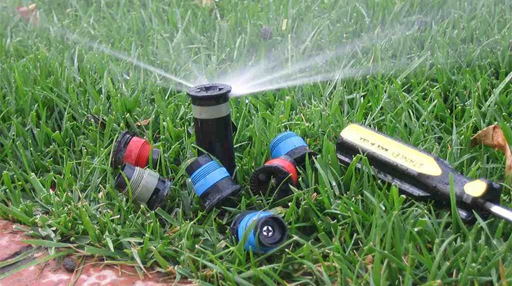 irrigation