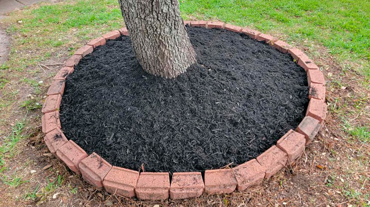 mulch 4